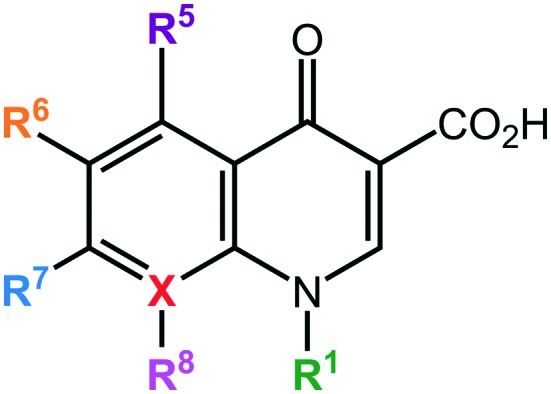 quinolone structure